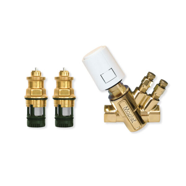 Product image of Maplef EVS.