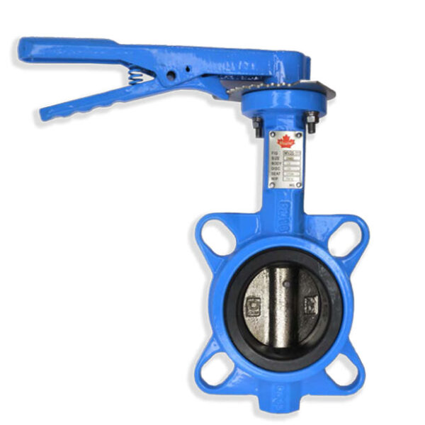 Product image of Ductile Iron, Semi Lugged, Lever Operated, PN25.