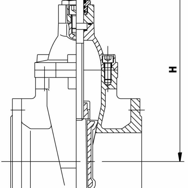 Mv40 1232x